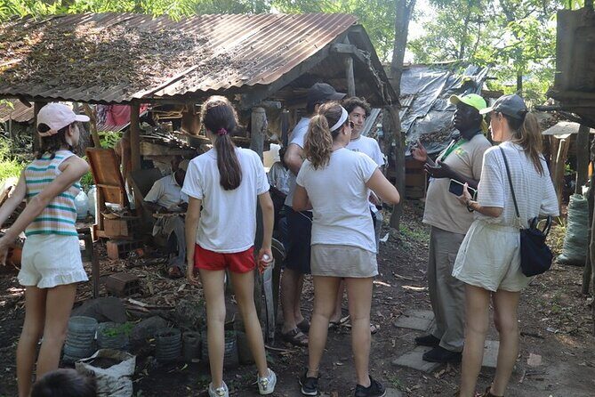 Full-Day Guided Sightseeing Cultural Tour of Mombasa from Diani. - Transportation and Group Size