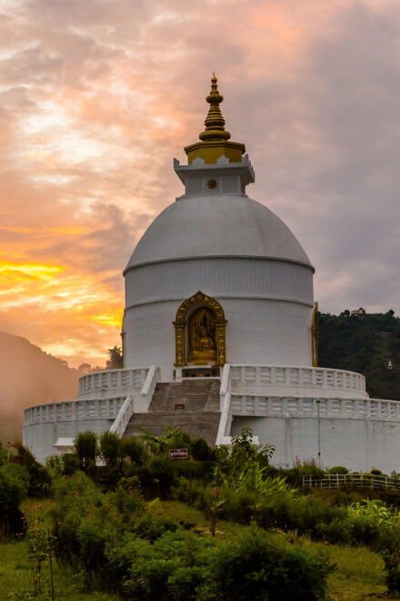 Full Day Guided Sightseeing Tour in Pokhara - Customer Reviews