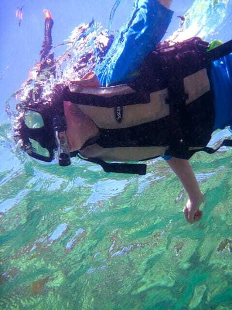 Full-Day Guided Snorkeling Tour from Kota Kinabalu - Good To Know