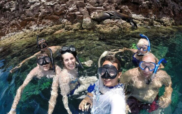 Full-Day Guided Tour Espíritu Santo Island & Sea Lions - Tour Overview