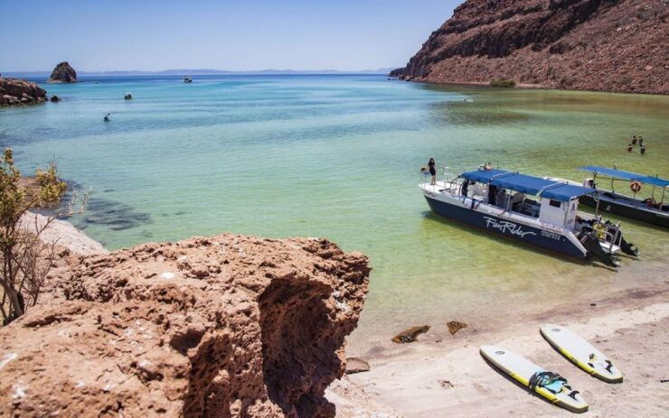 Full-Day Guided Tour Espíritu Santo Island & Sea Lions - Activity Duration