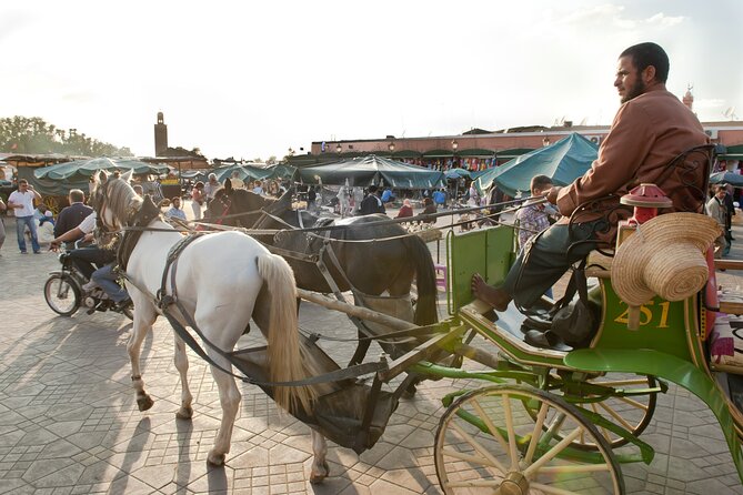 Full Day Guided Tour in Marrakech With Camel Ride From Casablanca - Meeting Points and Pickup