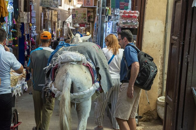 Full Day Guided Tour in Marrakech With Camel Ride From Casablanca - Frequently Asked Questions