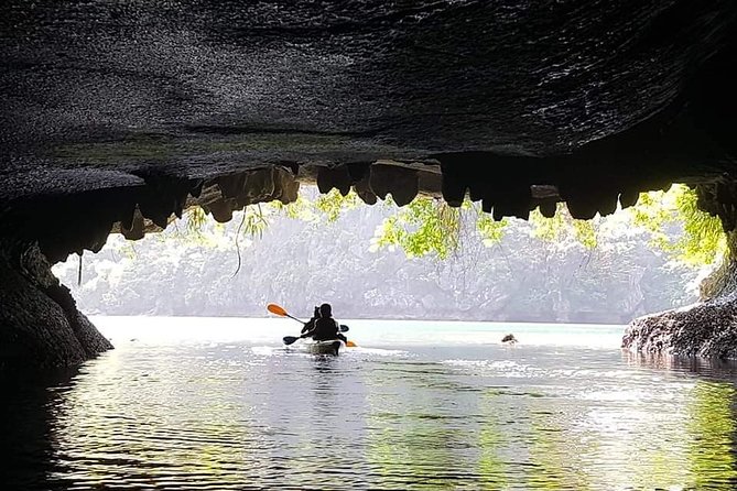Full-Day Guided Tour of Lan Ha Bay and Ha Long Bay From Hanoi - Inclusions and Activities