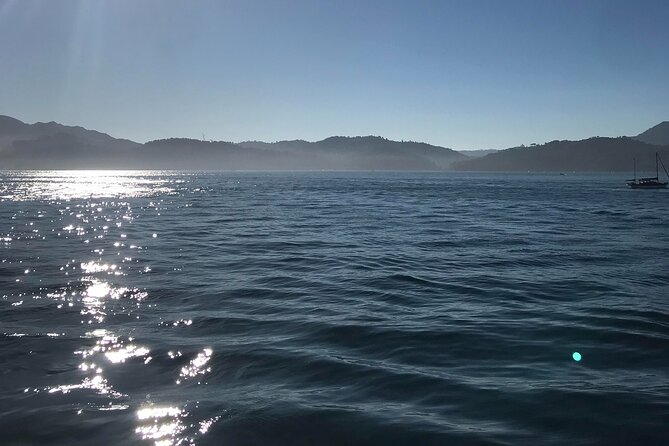 Full-Day Guided Tour of the Arrabida Region - Tour Highlights