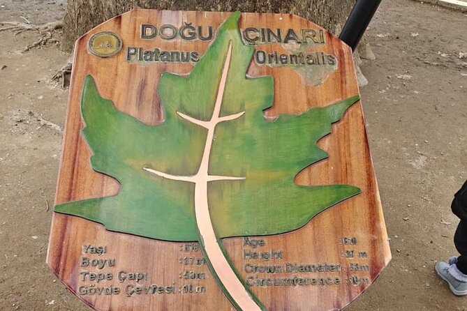 Full Day Guided Tour to Bursa and Uludag - Highlights of Bursa and Uludag