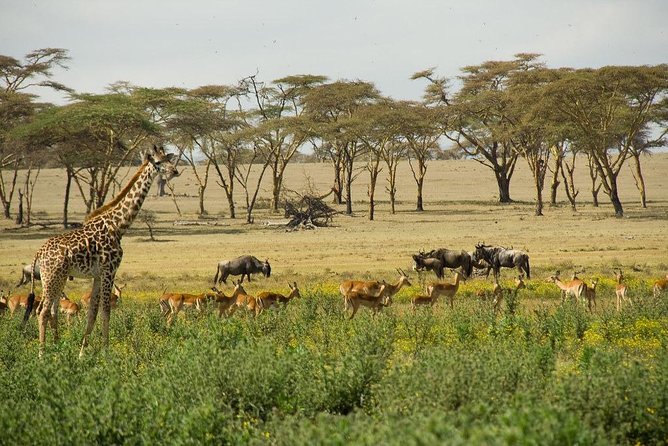 Full-Day Guided Tour to Crescent Island From Nairobi - Inclusions and Exclusions