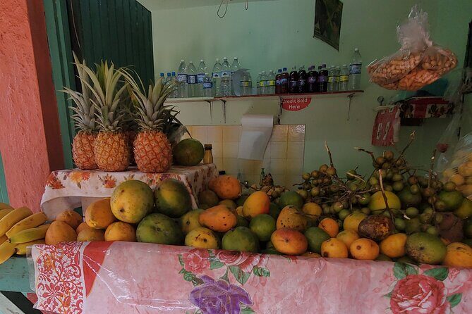 Full-Day Guided Tour to Dunns River Falls & shopping with lunch - FAQ