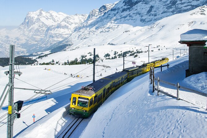 Full-Day Guided Tour to Interlaken and Grindelwald From Lucerne - Common Questions