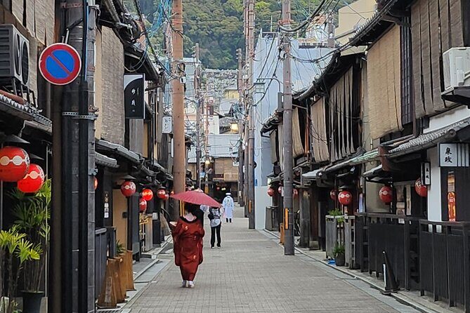 Full Day Guided Tour to Kyoto and Nara from Osaka by Van - Who Will Love This Tour?