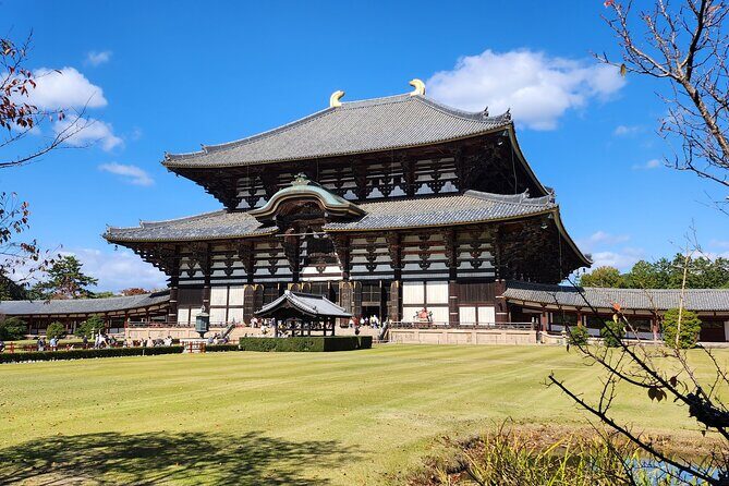 Full Day Guided Tour to Nara from Osaka by Van - Good To Know