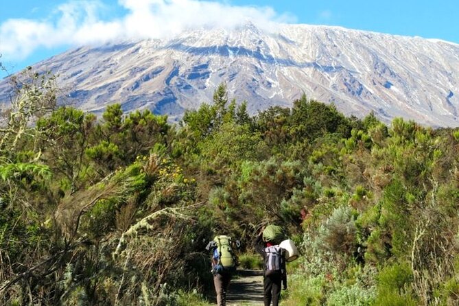 Full Day Guided Trekking in Mount Kilimanjaro - Good To Know