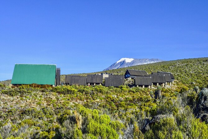 Full Day Guided Trekking in Mount Kilimanjaro - What To Expect and Guarantee