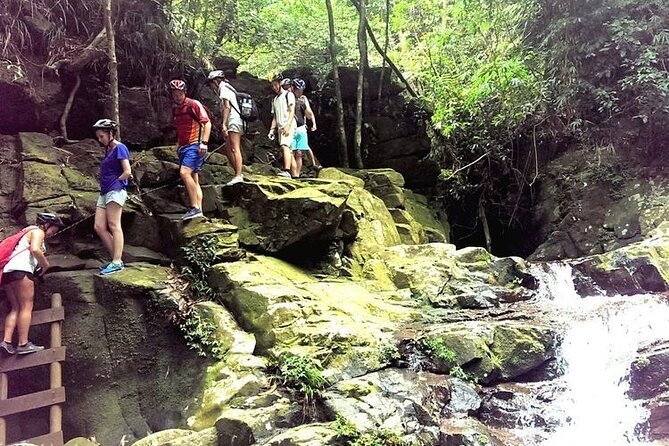 Full-Day Guided Trekking Tour in Bach Ma National Park Vietnam - Tour Overview
