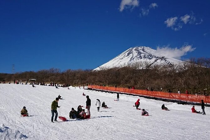 Full Day Guided Trip to Mt. Fuji and Hakone From Tokyo - Frequently Asked Questions