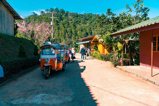 Full-Day Guided Tuk Tuk Chiang Mai Adventure and Rafting - Tour Directions and Itinerary