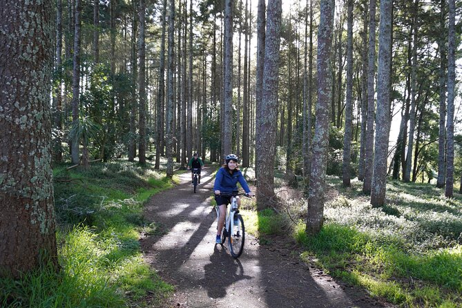 Full Day Guided Waikato River Trail E-bike Tour - The Sum Up