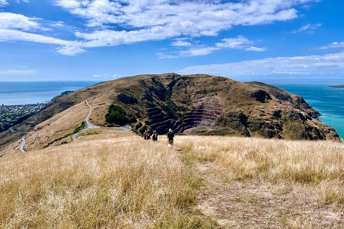 Full Day Guided Walking Tour and Picnic on Banks Peninsula - Traveler Reviews and Ratings