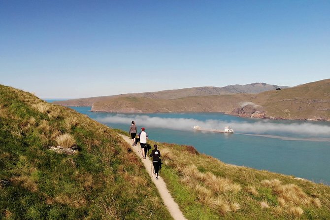 Full Day Guided Walking Tour and Picnic on Banks Peninsula - The Sum Up