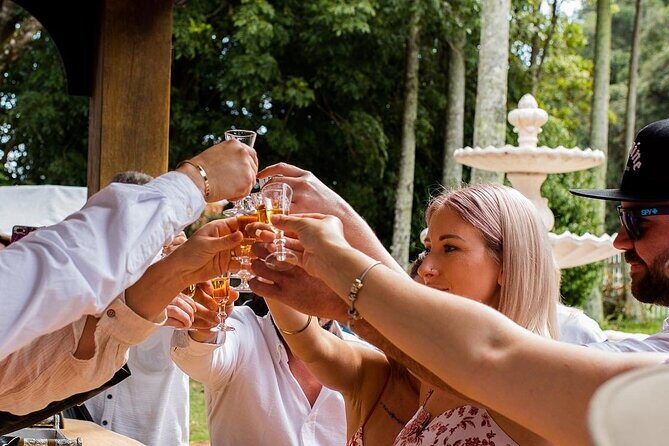 Full Day Guided Wine Tour in Mt Tamborine From Brisbane - An Honest Look at a Popular Wine Experience