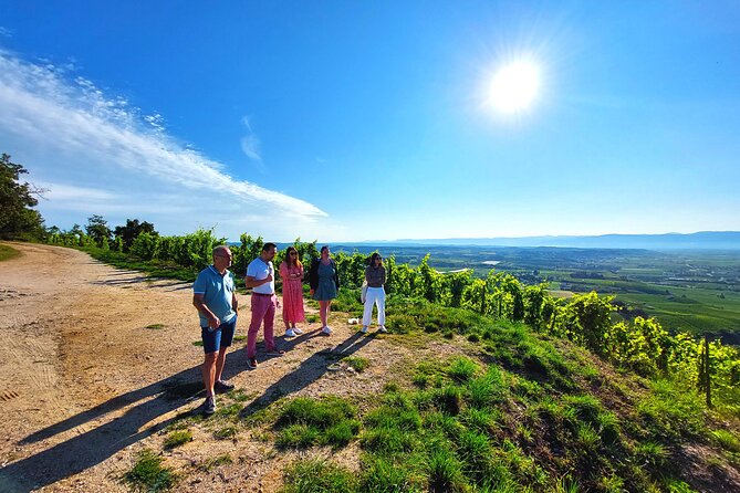 Full Day Guided Wine Tour With Tasting and Lunch - Tour Itinerary