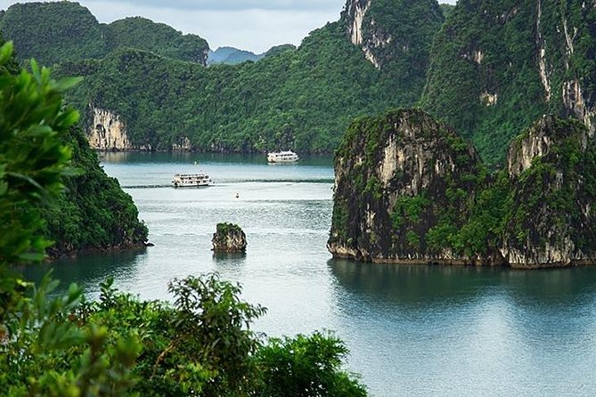 Full-DAY HA LONG BAY DAY From HA NOI - Trip Highlights
