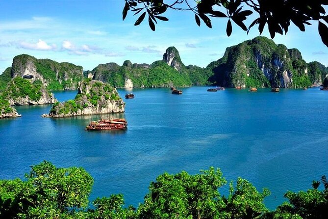 Full-Day Ha Long Bay Tour From Hanoi - Traveler Photos and Reviews