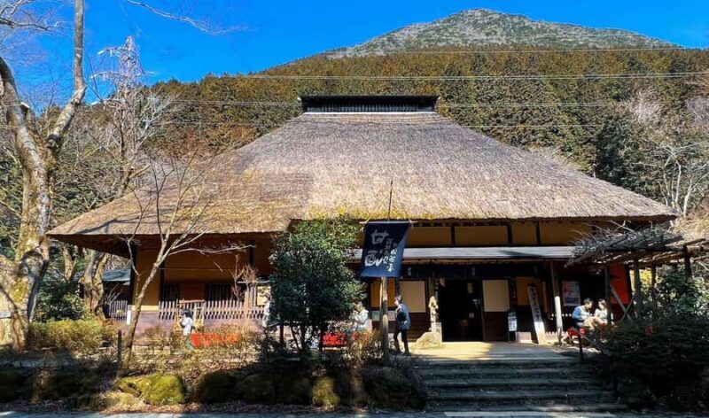 Full-Day Hakone Tour, With Mt. Fuji View & Sky Walk - Good To Know