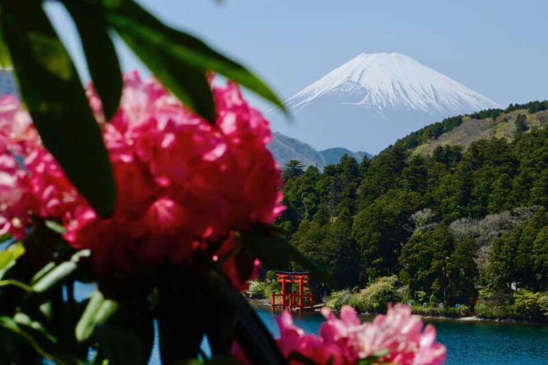 Full-Day Hakone Tour, With Mt. Fuji View & Sky Walk - Overview of the Full-Day Hakone Tour