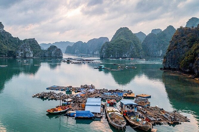 Full Day Halong Bay Tour From Hanoi - Customer Reviews