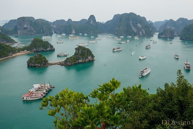 Full Day Halong Bay Tour With Lunch - Lunch Menu