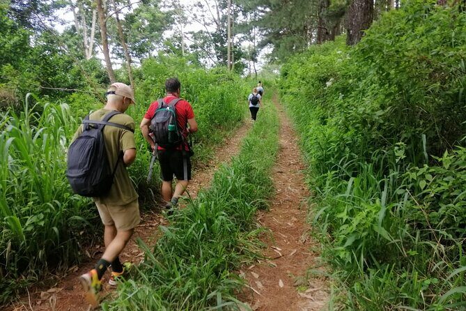 Full Day Hantana Pekoe Trail Hike from Kandy - Final Thoughts
