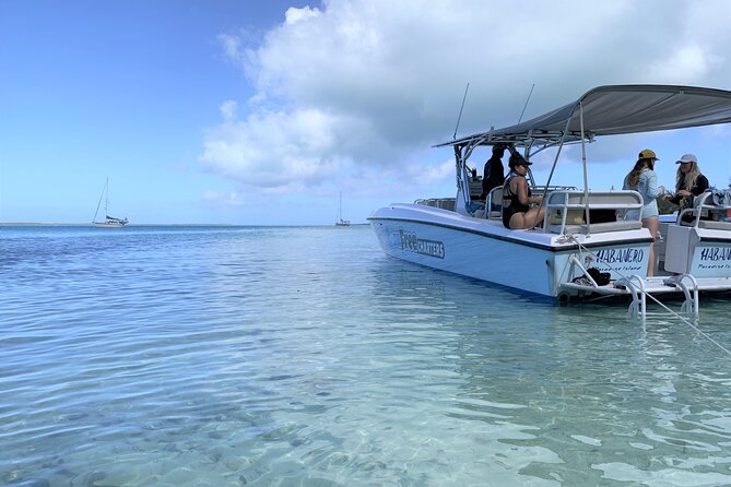 Full-Day Harbour Island Pink Sand & Swimming Pigs From Nassau - Interacting With the Swimming Pigs