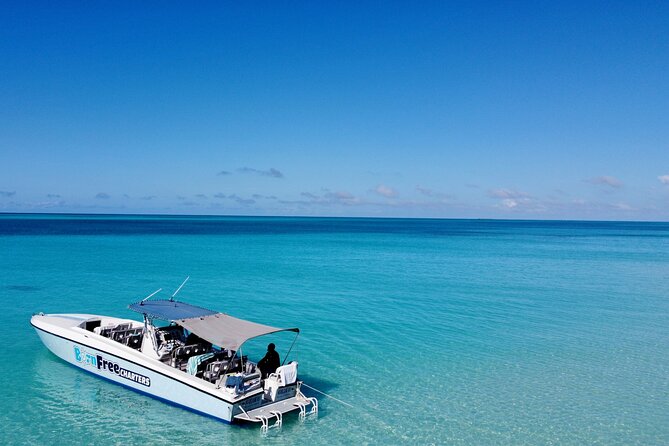 Full-Day Harbour Island Pink Sand & Swimming Pigs From Nassau - Return Trip and Drop-off Time