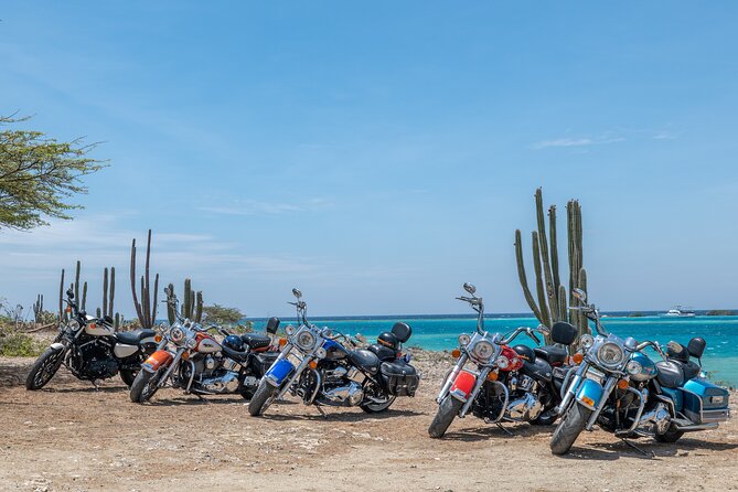 Full-Day Harley Davidson Rentals in Aruba - Requirements and Meeting Details