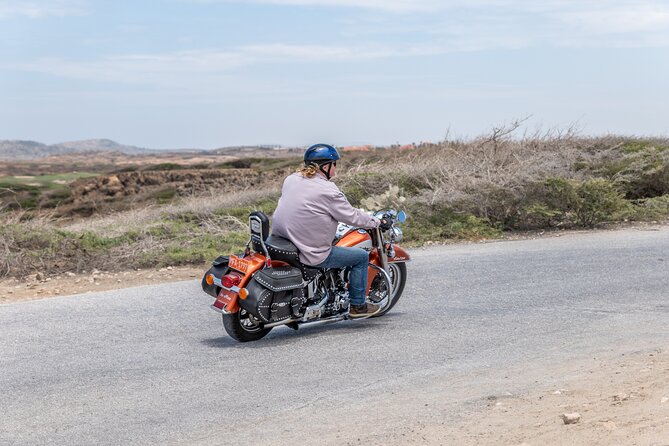 Full-Day Harley Davidson Rentals in Aruba - Harley Davidson Models