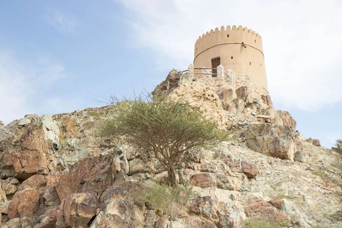 Full Day Hatta Wadi Hub Private Guided Tour - The Sum Up