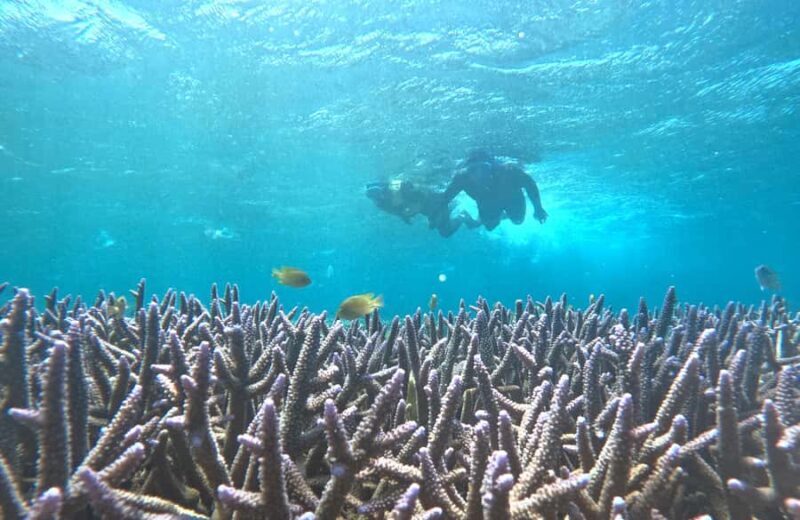 Full-Day Hidden Gili Kondo with Snorkeling and Beach BBQ - Good To Know