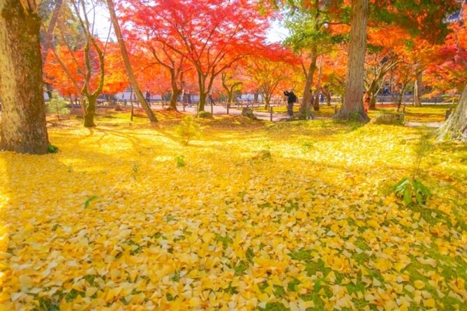 Full Day Hidden Kyotogenic for Autumn Tour in Kyoto - Cancellation Policy
