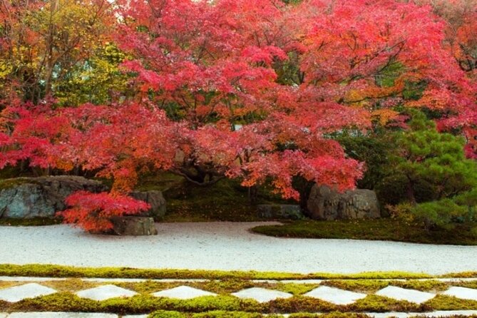 Full Day Hidden Kyotogenic for Autumn Tour in Kyoto - Reviews