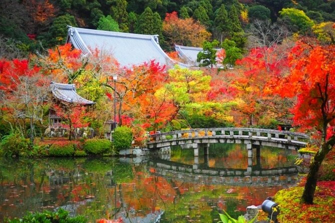 Full Day Hidden Kyotogenic for Autumn Tour in Kyoto - Highlights of the Hidden Kyotogenic Tour