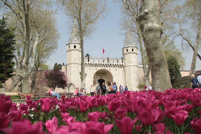 Full Day Highlights of Istanbul Old City Incl Lunch & Tickets - Reviews and Ratings