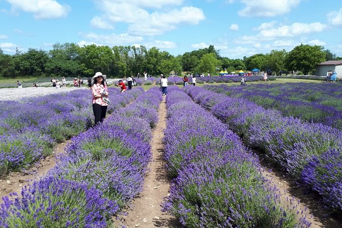 Full-Day Highlights of Prince Edward County Private Tour - Landmarks and Attractions