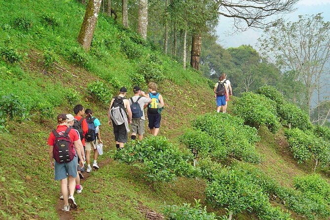 Full-Day Hike and Bike Tour From Chiang Mai - Additional Information