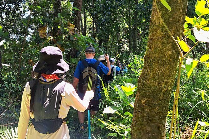 Full-Day Hike and Bike Tour From Chiang Mai - Mae Rim Visit