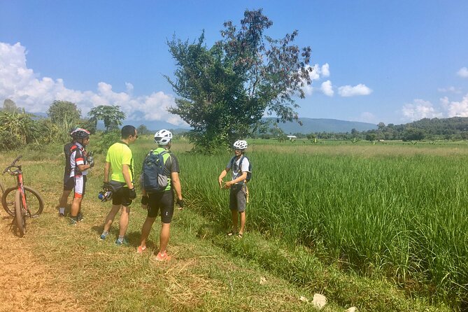 Full-Day Hike and Bike Tour From Chiang Mai - Wat Ban Den Exploration