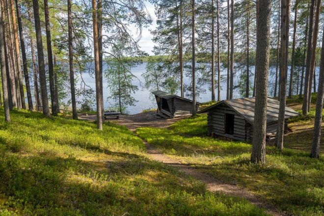 Full Day Hike at Iso-Palonen Nature Reserve - Experience Highlights