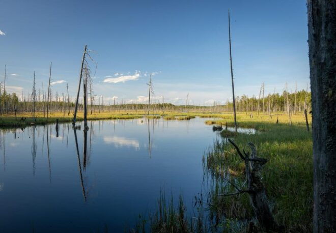 Full Day Hike at Iso-Palonen Nature Reserve - Preparation Tips