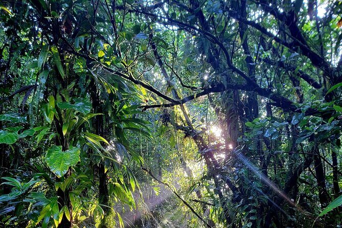 Full Day Hike Tour from Dominica - Final Thoughts