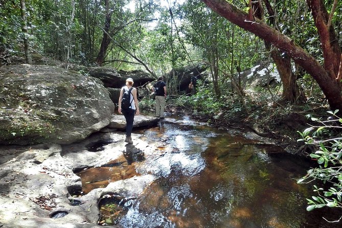 Full Day Hiking Along the Orchids' Path - Notable Locations